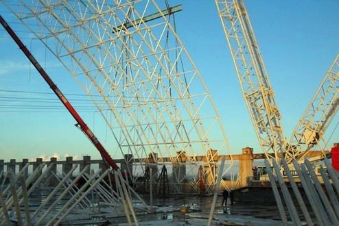 龙井专业的技术